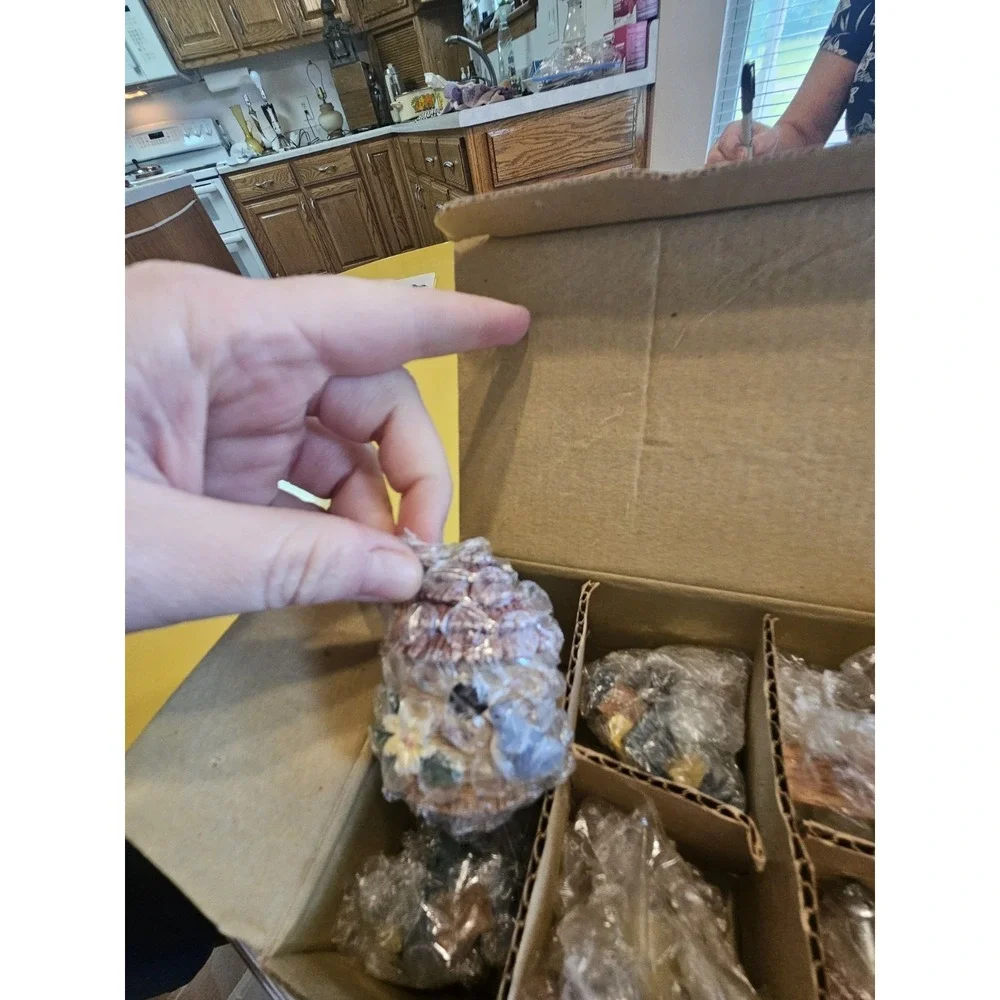 NIB Poly Birdhouse Drawer Pull Complete Set